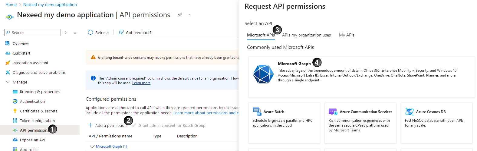 Set application permissions in Entra ID